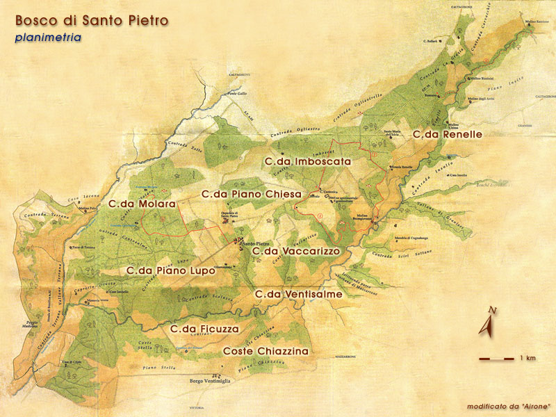Bosco di Santo Pietro - planimetria
